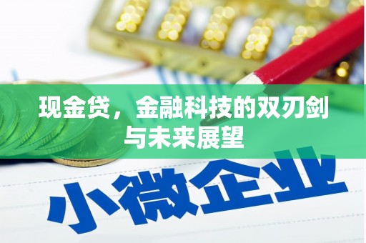 吴川现金贷，金融科技的双刃剑与未来展望