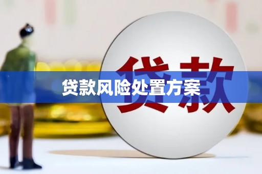 吴川贷款风险处置方案