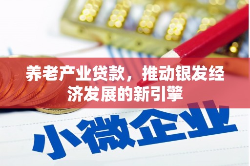 吴川养老产业贷款，推动银发经济发展的新引擎