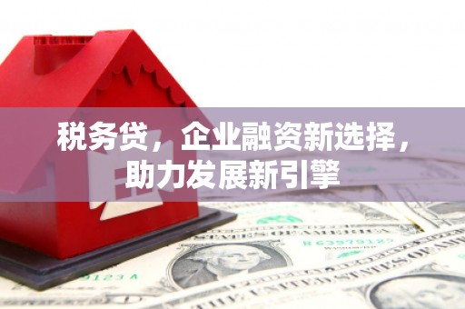 吴川税务贷，企业融资新选择，助力发展新引擎