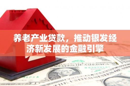 吴川养老产业贷款，推动银发经济新发展的金融引擎