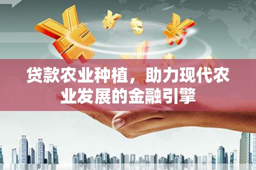 吴川贷款农业种植，助力现代农业发展的金融引擎