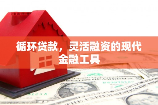 吴川循环贷款，灵活融资的现代金融工具