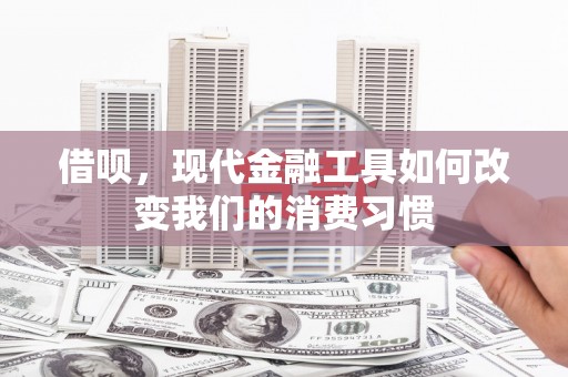 吴川借呗，现代金融工具如何改变我们的消费习惯