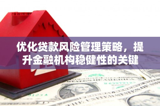 吴川优化贷款风险管理策略，提升金融机构稳健性的关键