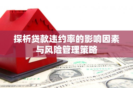 吴川探析贷款违约率的影响因素与风险管理策略