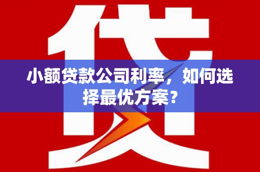 吴川小额贷款公司利率，如何选择最优方案？
