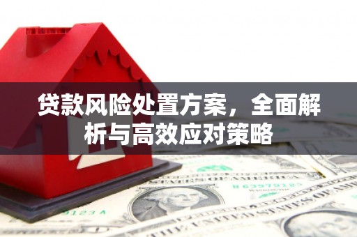 吴川贷款风险处置方案，全面解析与高效应对策略