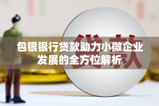 吴川包银银行贷款助力小微企业发展的全方位解析