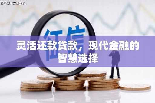 吴川灵活还款贷款，现代金融的智慧选择