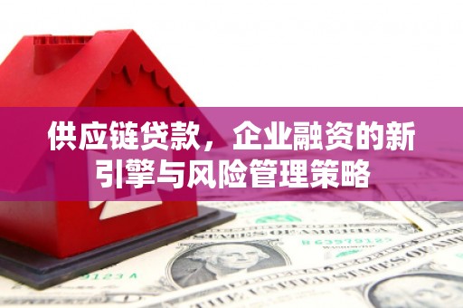 吴川供应链贷款，企业融资的新引擎与风险管理策略