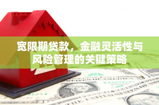 吴川宽限期贷款，金融灵活性与风险管理的关键策略