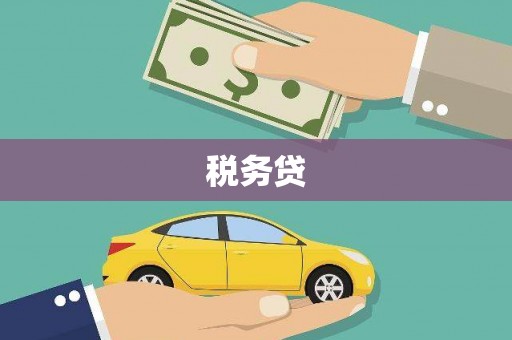 吴川税务贷