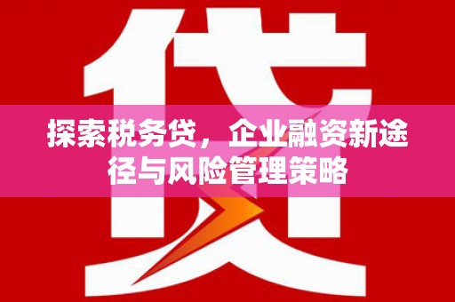 吴川探索税务贷，企业融资新途径与风险管理策略