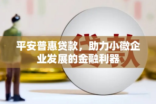 吴川平安普惠贷款，助力小微企业发展的金融利器