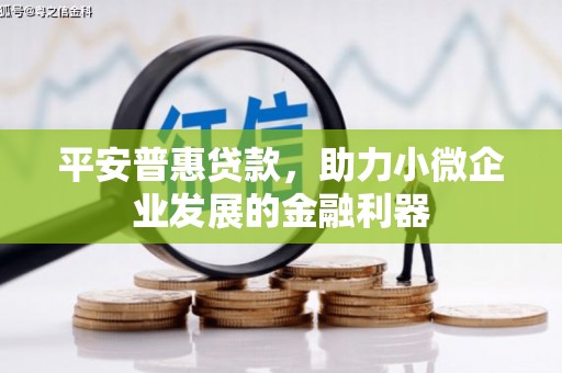 吴川平安普惠贷款，助力小微企业发展的金融利器