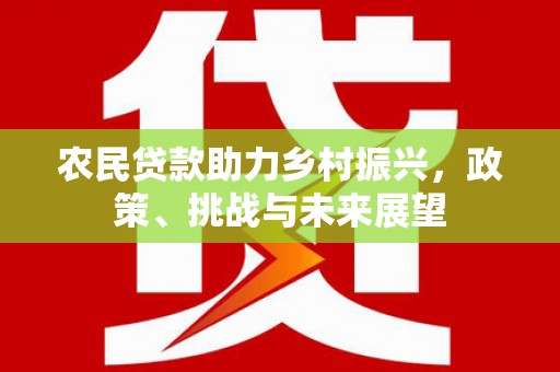 吴川农民贷款助力乡村振兴，政策、挑战与未来展望