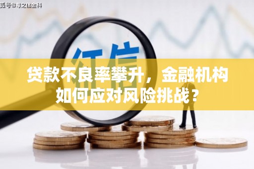 吴川贷款不良率攀升，金融机构如何应对风险挑战？