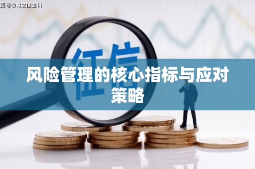 吴川风险管理的核心指标与应对策略