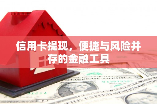 吴川信用卡提现，便捷与风险并存的金融工具
