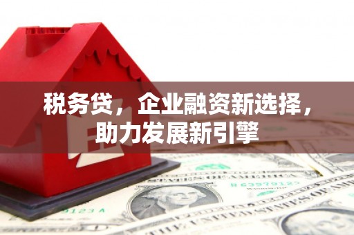 吴川税务贷，企业融资新选择，助力发展新引擎