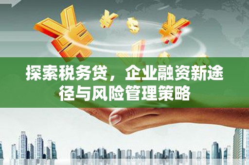 吴川探索税务贷，企业融资新途径与风险管理策略