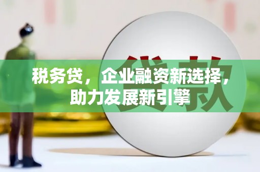 吴川税务贷，企业融资新选择，助力发展新引擎