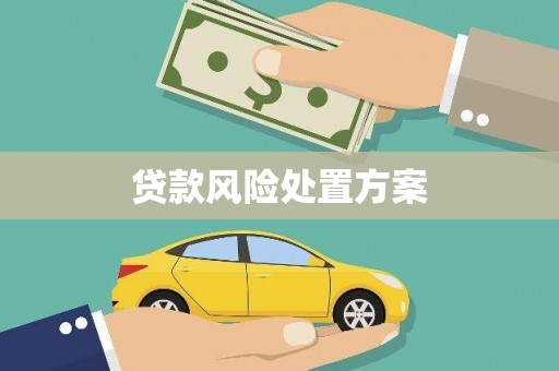 吴川贷款风险处置方案