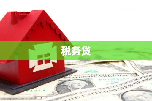 吴川税务贷