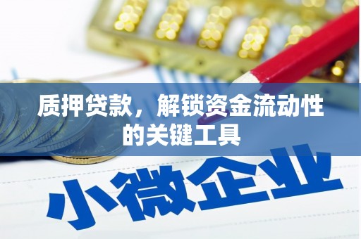 吴川质押贷款，解锁资金流动性的关键工具