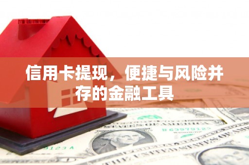 吴川信用卡提现，便捷与风险并存的金融工具