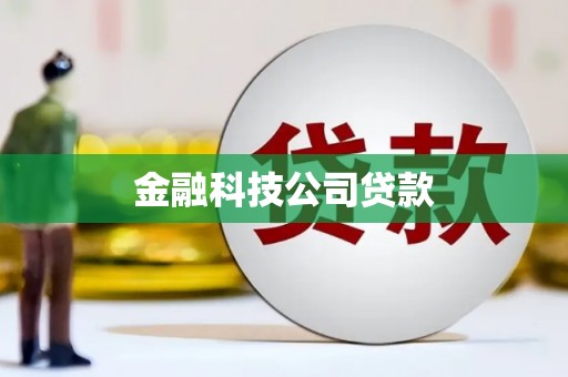 吴川金融科技公司贷款