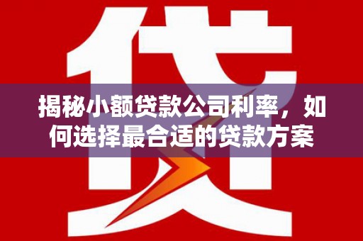 吴川揭秘小额贷款公司利率，如何选择最合适的贷款方案