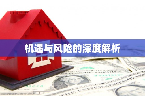 吴川机遇与风险的深度解析