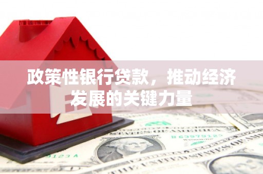 吴川政策性银行贷款，推动经济发展的关键力量