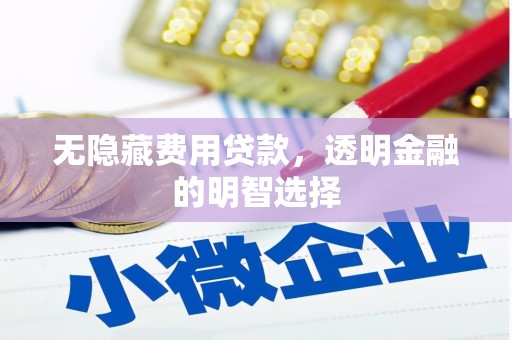 吴川无隐藏费用贷款，透明金融的明智选择
