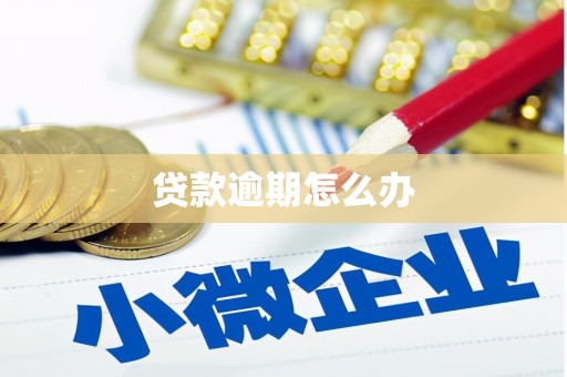 吴川贷款逾期怎么办