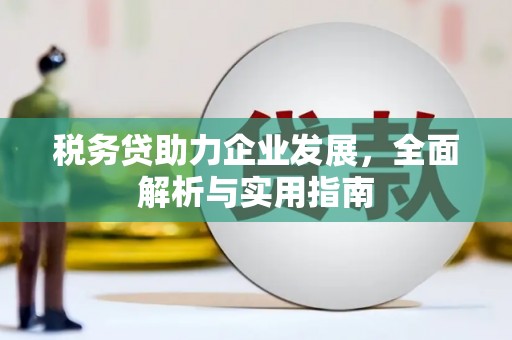 吴川税务贷助力企业发展，全面解析与实用指南