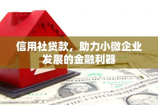 吴川信用社贷款，助力小微企业发展的金融利器