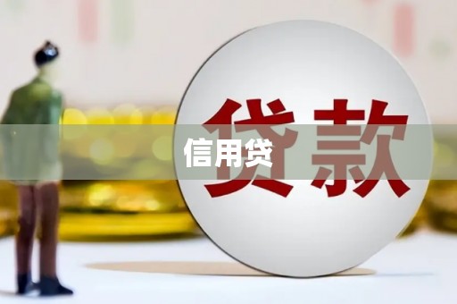 吴川信用贷