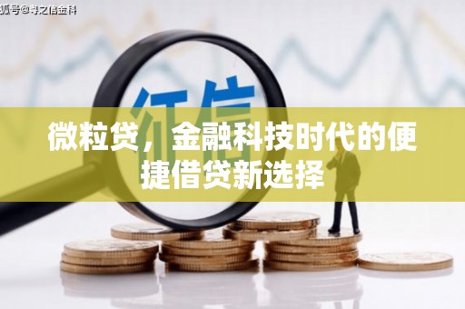 吴川微粒贷，金融科技时代的便捷借贷新选择