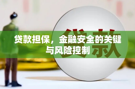 吴川贷款担保，金融安全的关键与风险控制