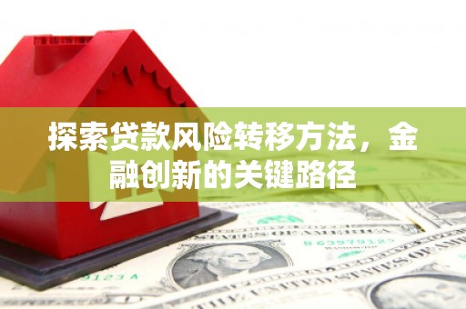 吴川探索贷款风险转移方法，金融创新的关键路径