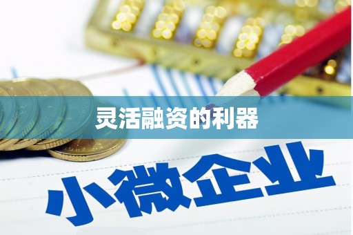 吴川灵活融资的利器