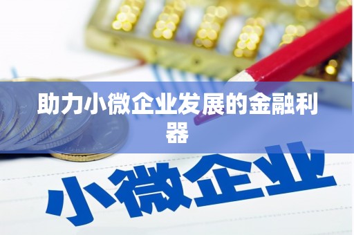吴川助力小微企业发展的金融利器