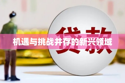 吴川机遇与挑战并存的新兴领域