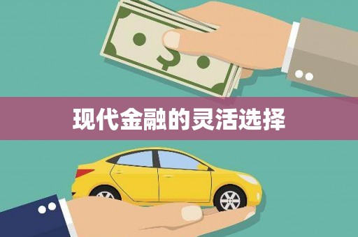 吴川现代金融的灵活选择