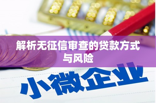 吴川解析无征信审查的贷款方式与风险
