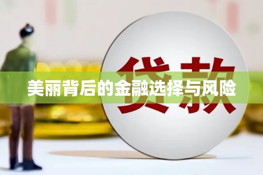 吴川美丽背后的金融选择与风险