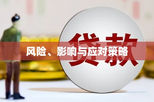 吴川风险、影响与应对策略